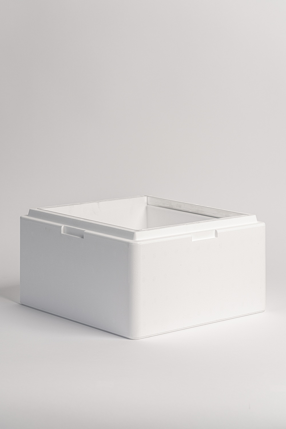 APIDEA Nucleus Hive Body